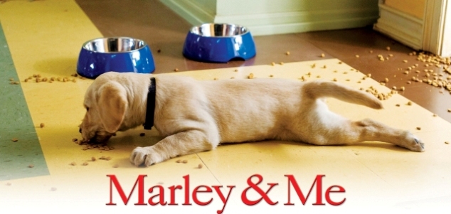 Marley-and-Me-marley-and-me-5315874-1024-576