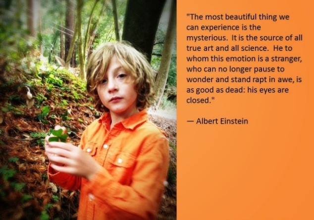 The most beautiful thing we can experience is the mysterious. It is the source of all true art and all science.