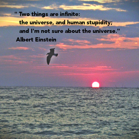 Two things are infinite the universe and human stupidity; and I'm not sure about the universe