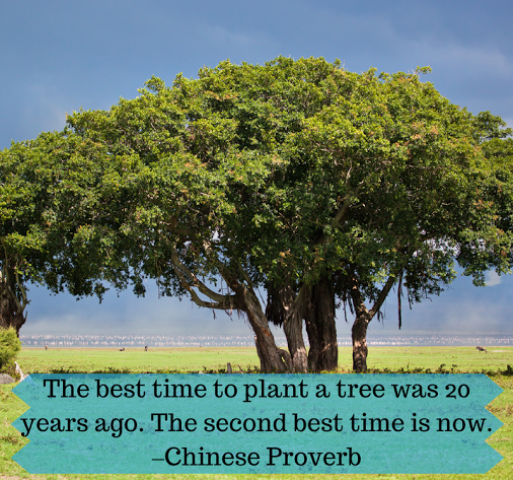 The best time to plant a tree was 20 years ago. The second best time is now.