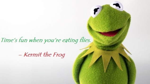 Time’s fun when you’re eating flies.” – Kermit the Frog