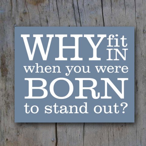 Why fit in when you were born to stand out”